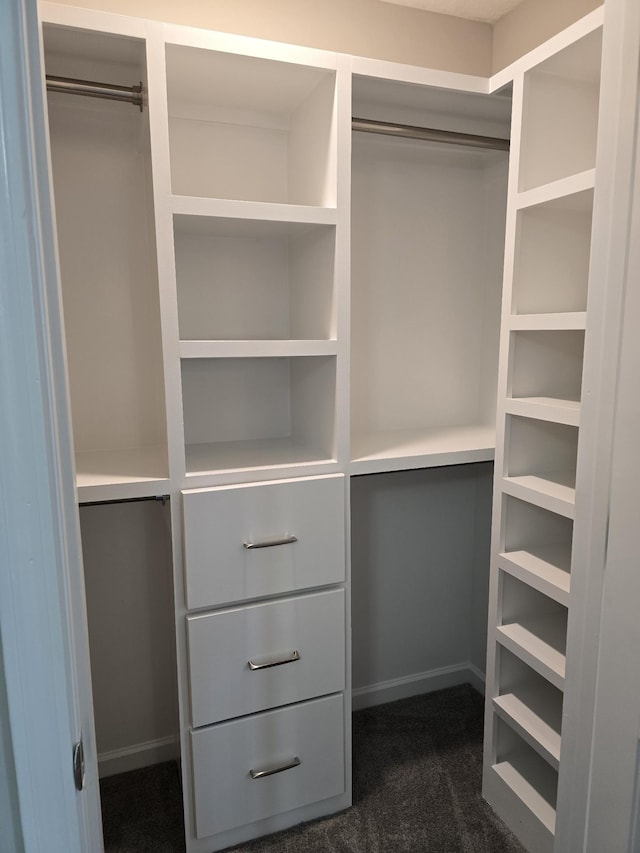 walk in closet with dark carpet