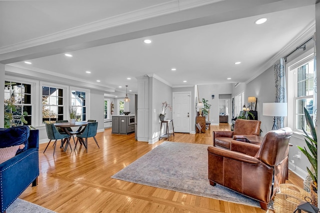 living room with ornamental molding and light hardwood / wood-style floors