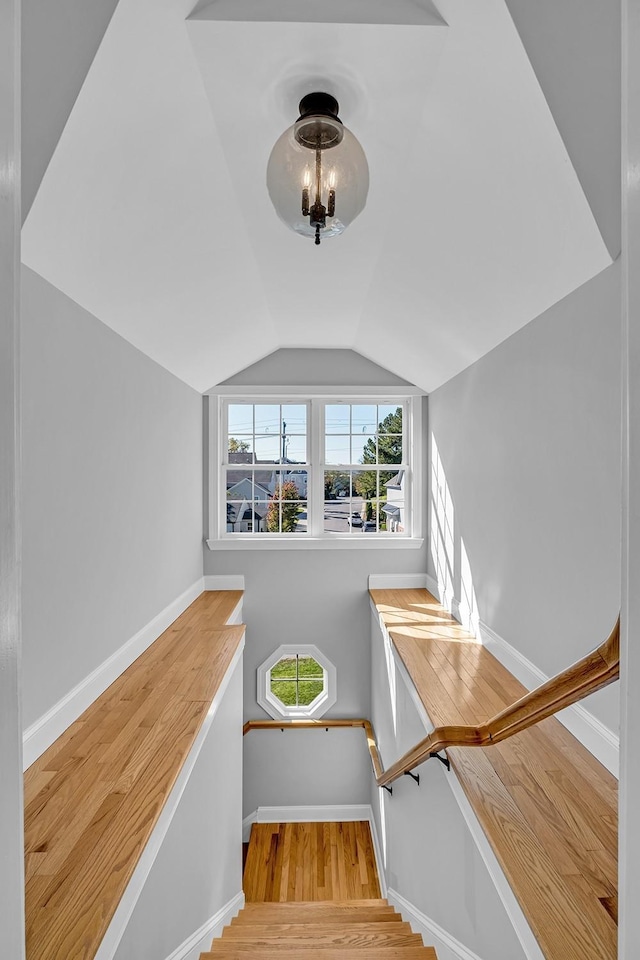 stairway featuring lofted ceiling and wood-type flooring