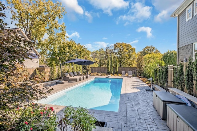 view of swimming pool featuring a patio area