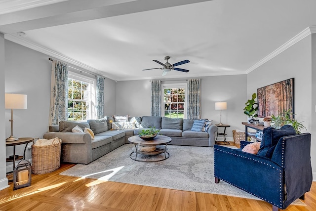 living room featuring ceiling fan, a healthy amount of sunlight, and crown molding