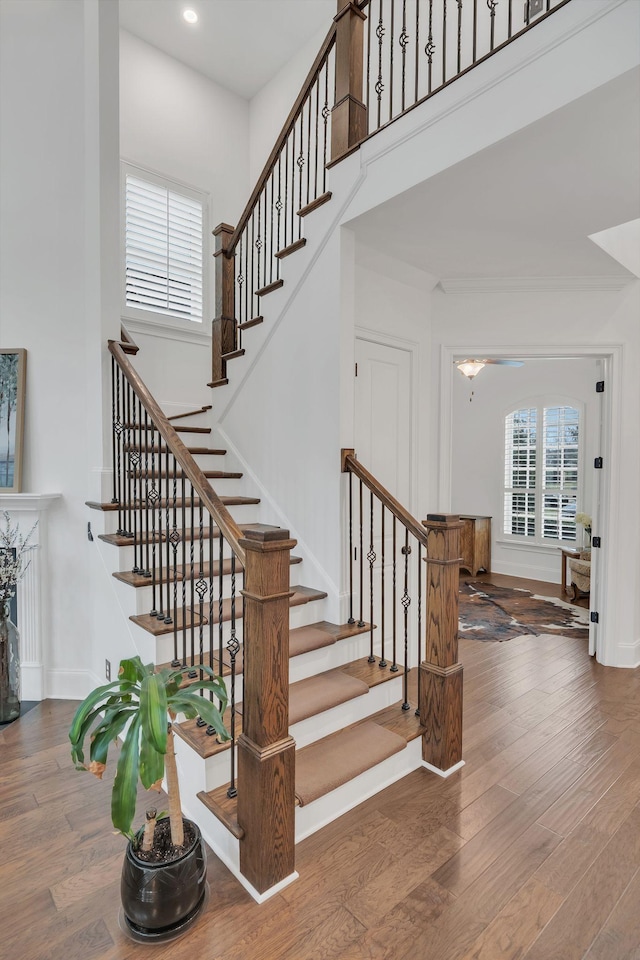 stairway featuring hardwood / wood-style floors