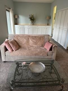 living room with carpet floors