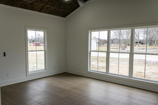 empty room featuring hardwood / wood-style floors, vaulted ceiling, and a healthy amount of sunlight