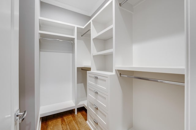 walk in closet featuring light wood-type flooring