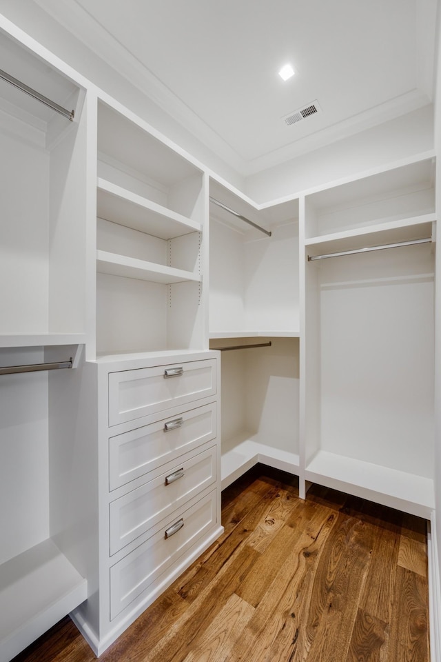 walk in closet featuring wood-type flooring