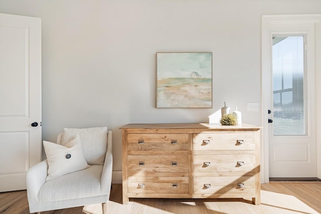 sitting room featuring light hardwood / wood-style flooring