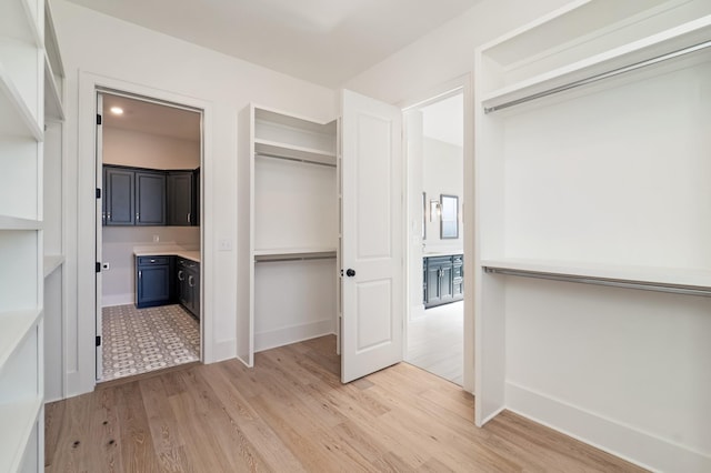 spacious closet with light wood-type flooring