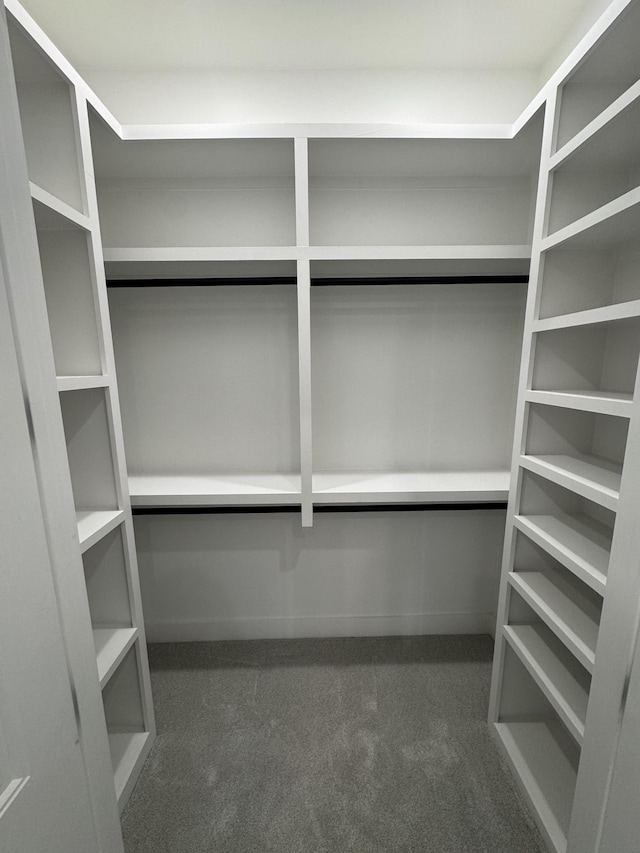 walk in closet with dark colored carpet