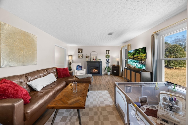 living room with a textured ceiling and hardwood / wood-style flooring