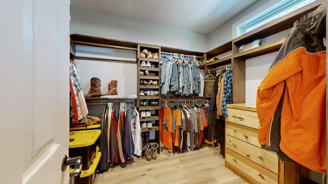 walk in closet featuring light wood-type flooring