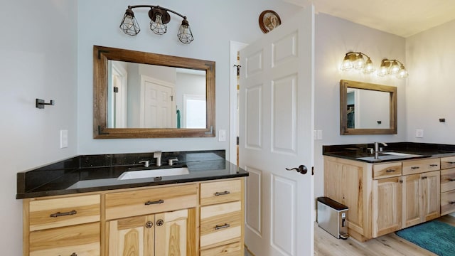 bathroom featuring wood-type flooring and vanity