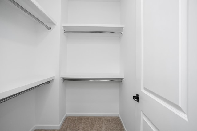 walk in closet featuring carpet flooring