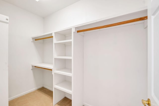 walk in closet with light carpet