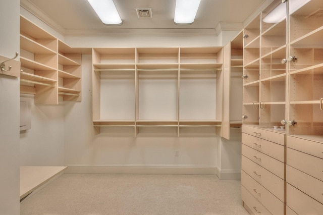 walk in closet with light carpet