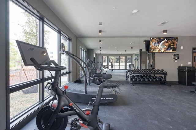 exercise room featuring plenty of natural light