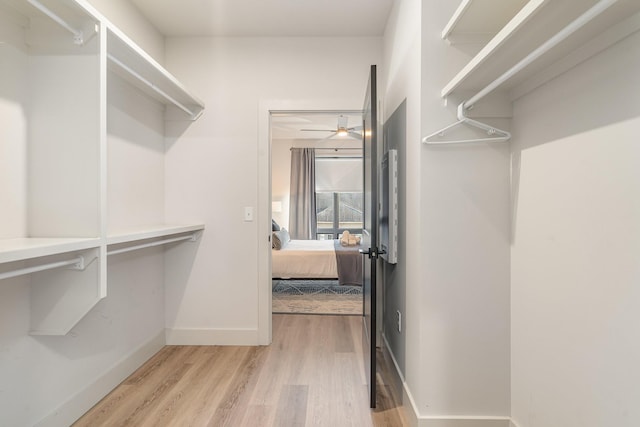 spacious closet featuring light hardwood / wood-style floors