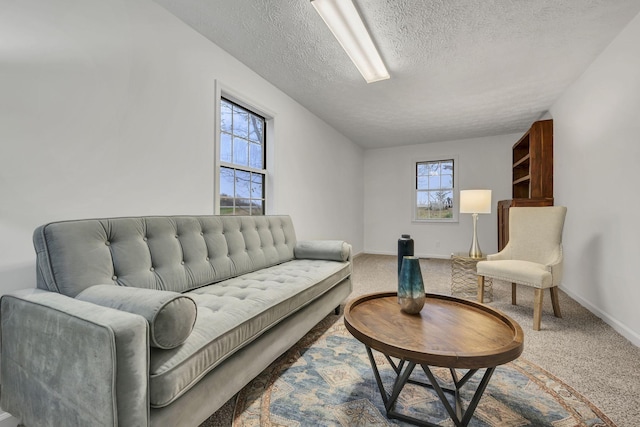 living room with carpet floors and a textured ceiling