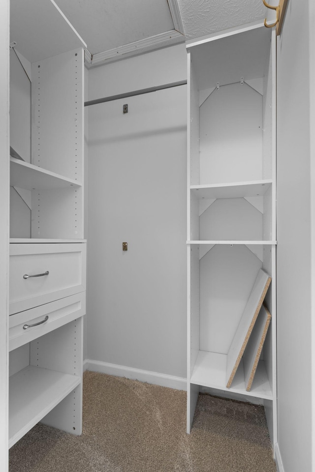 walk in closet featuring carpet