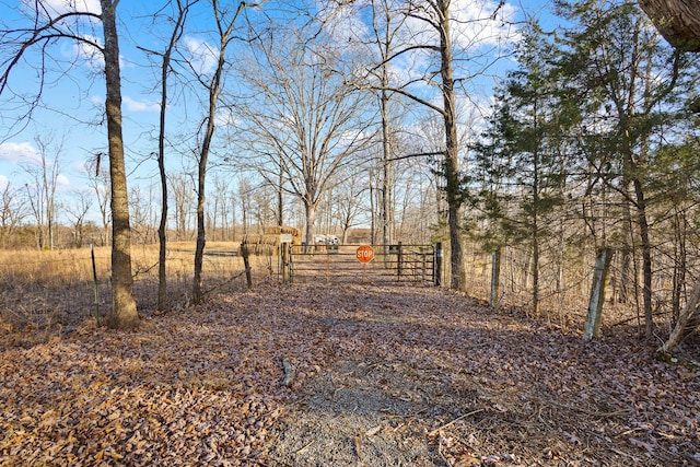 view of yard with a rural view