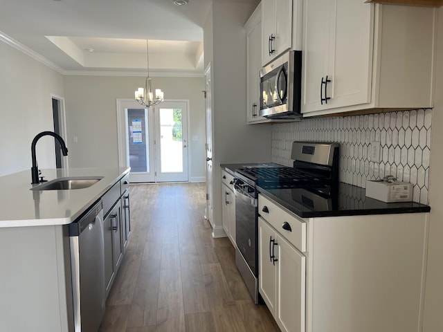 kitchen featuring an island with sink, stainless steel appliances, a raised ceiling, hanging light fixtures, and sink