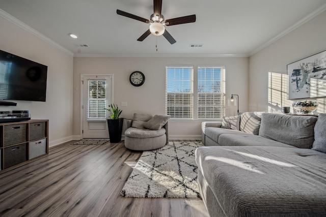 living room with ornamental molding, light hardwood / wood-style floors, and ceiling fan