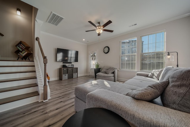 living room with hardwood / wood-style flooring, ornamental molding, and ceiling fan