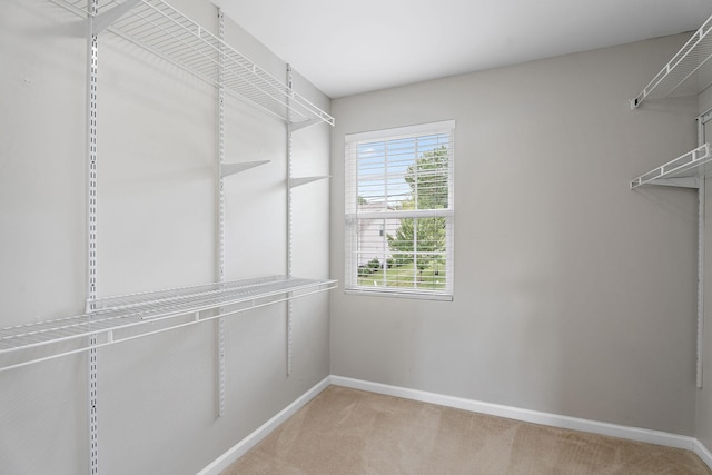 spacious closet featuring light carpet