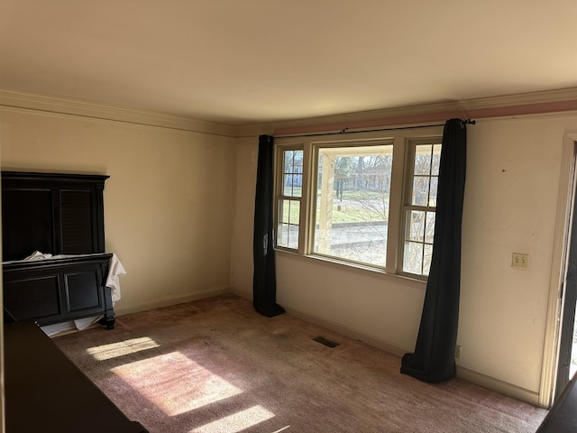 spare room with carpet and crown molding