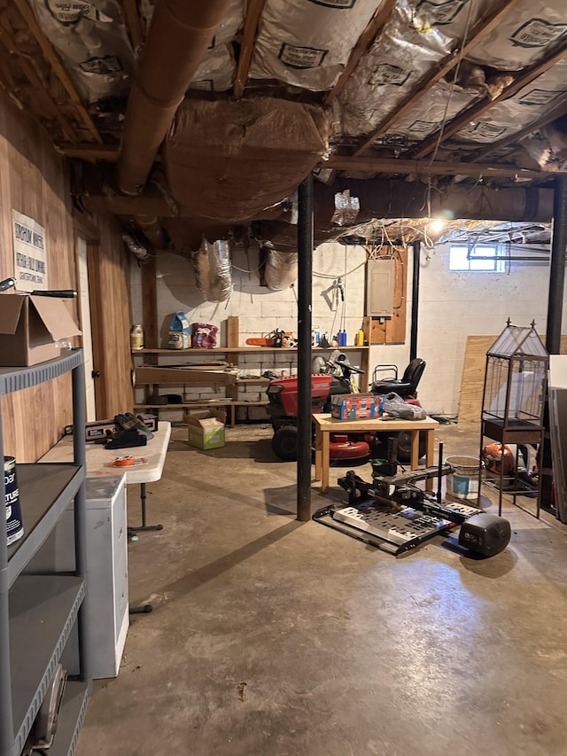 basement featuring a workshop area