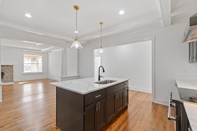 kitchen with pendant lighting, sink, light hardwood / wood-style flooring, dark brown cabinetry, and an island with sink