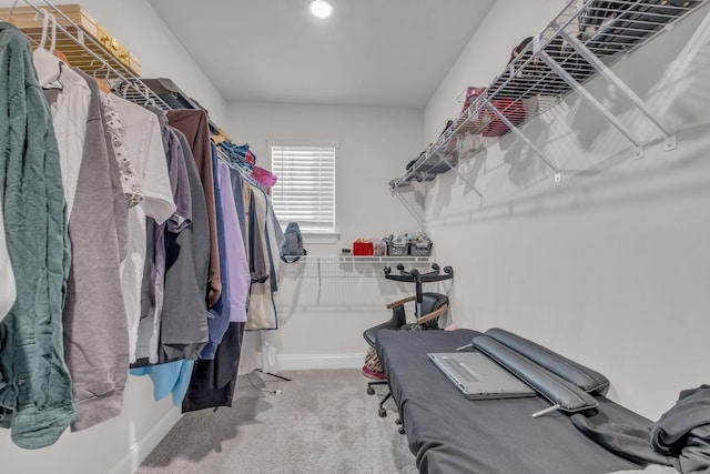 spacious closet featuring carpet floors