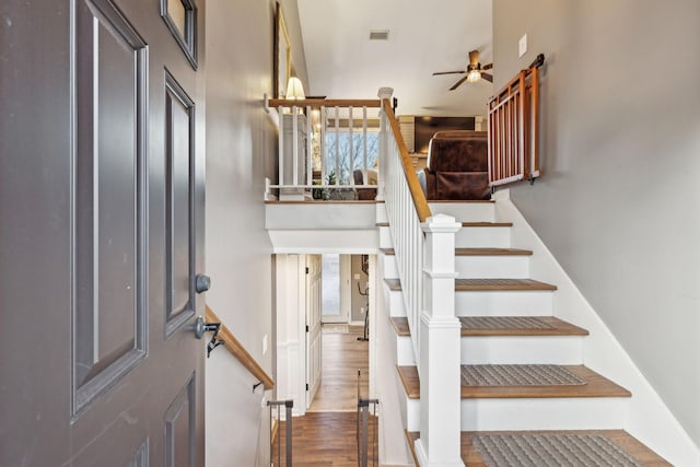 stairs featuring ceiling fan, hardwood / wood-style floors, and plenty of natural light