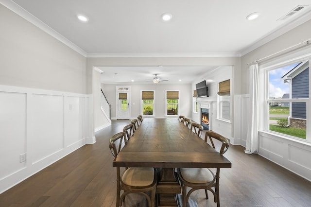 dining area with ceiling fan, a wealth of natural light, crown molding, and dark hardwood / wood-style flooring