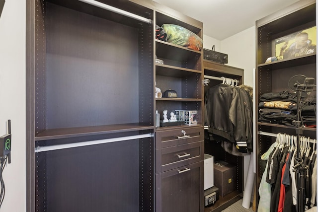 view of walk in closet