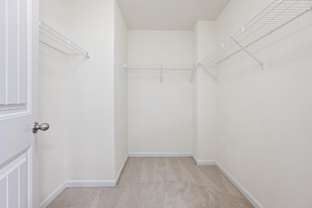 walk in closet with light carpet