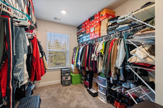 walk in closet featuring carpet floors