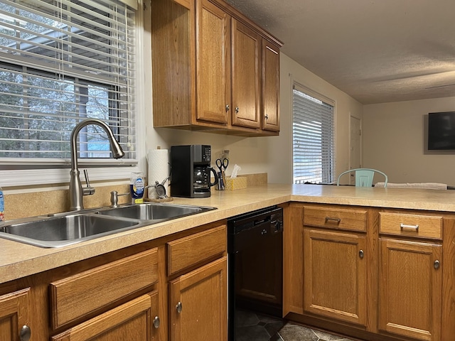 kitchen with sink and black dishwasher