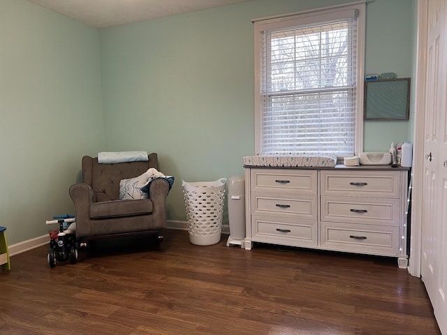 living area with dark hardwood / wood-style floors