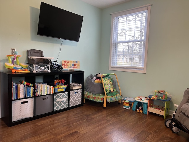 rec room featuring dark hardwood / wood-style floors