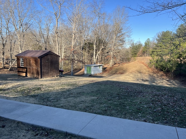 view of yard with a storage unit