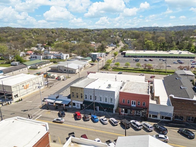 bird's eye view