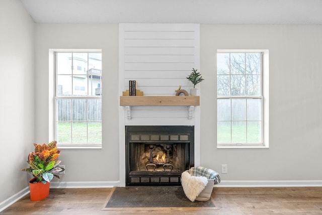 interior details with wood-type flooring and a fireplace