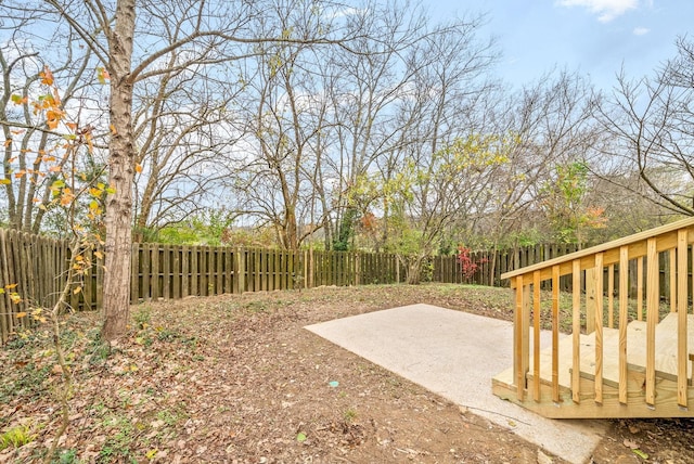 view of yard featuring a patio