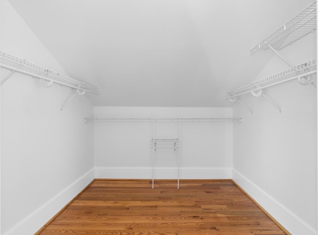 spacious closet featuring hardwood / wood-style flooring