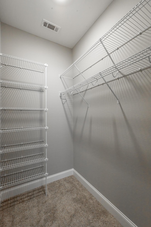 walk in closet featuring carpet flooring