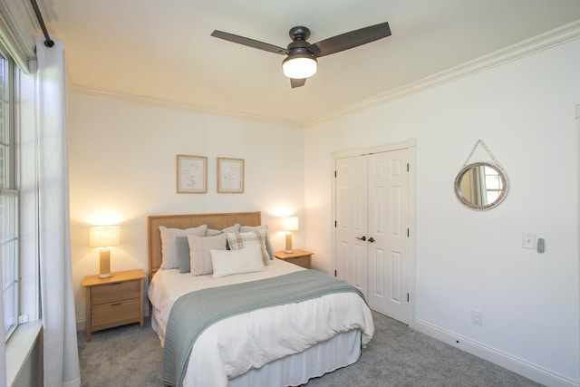 carpeted bedroom with ceiling fan, a closet, and ornamental molding