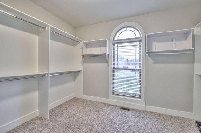 spacious closet featuring light carpet