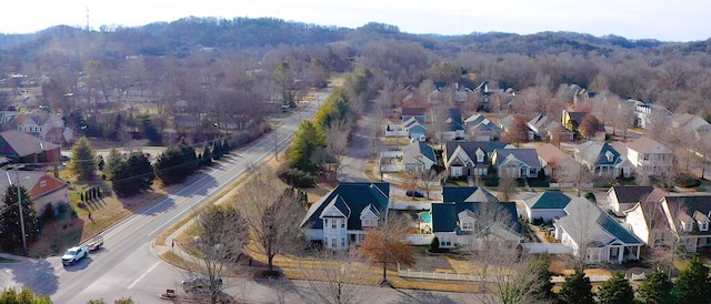 bird's eye view