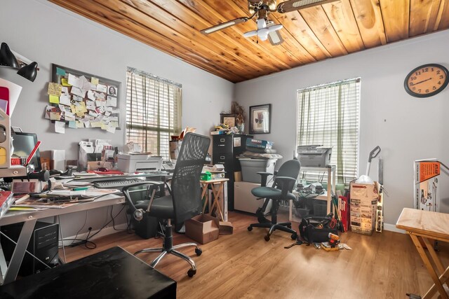 office space featuring light wood-type flooring, wooden ceiling, plenty of natural light, and ceiling fan